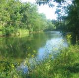 Cacapon River, Virginia<br />photo credit: Wikipedia